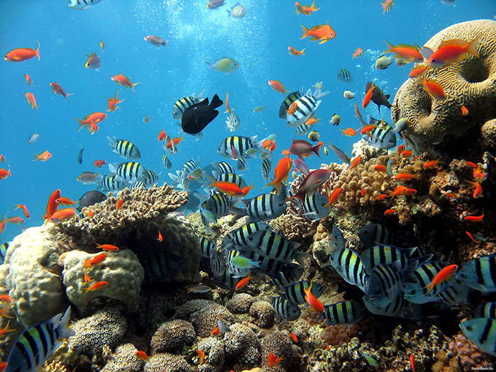 Underwater World of Singapore is the best place to visit in Pattaya