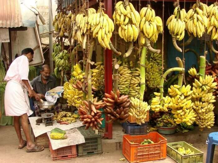 The variety of Bananas found in Kerala are unparalleled in size, shape and taste