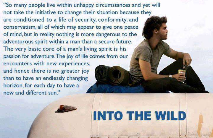 Into the Wild