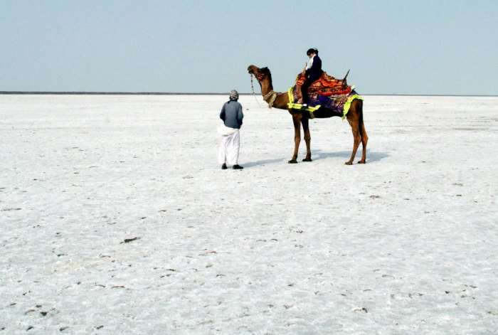 The White Desert