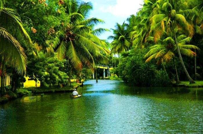 Backwater pathways of Alleppey - a top tourist place in Kerala