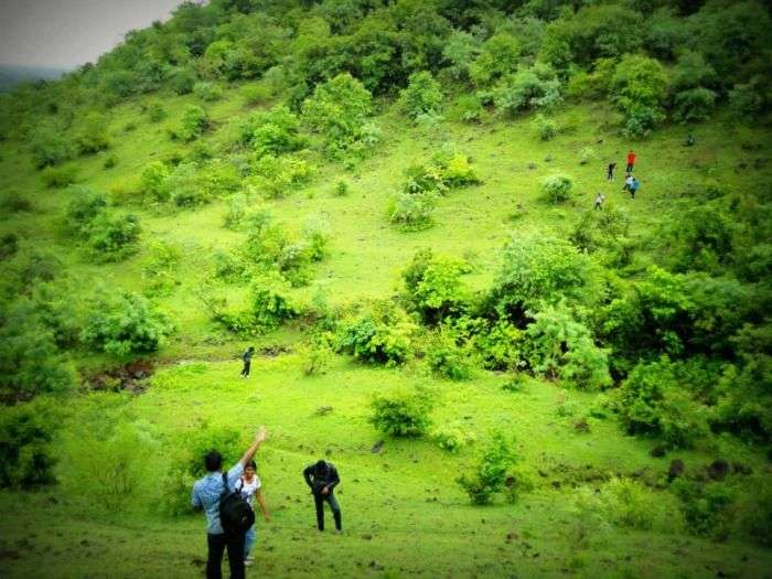 Ananthagiri hills - a peaceful destination for a bonfire night