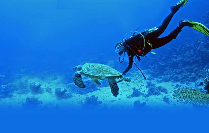 Plunge into the waters & swim in Andaman and Nicobar Islands