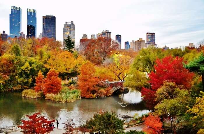 Experiencing Spring & Autumn at Central Park Autumn