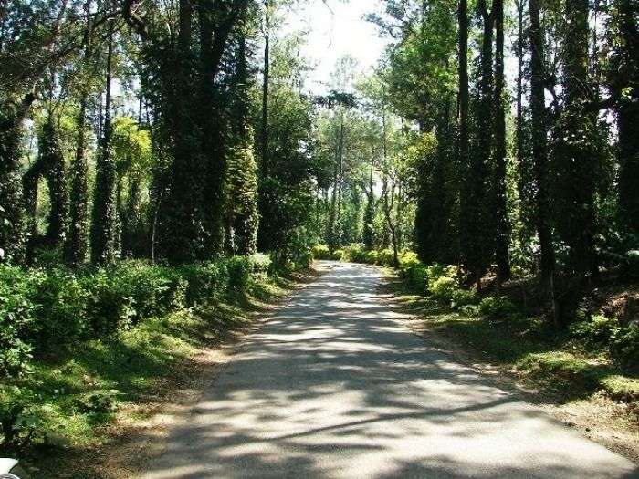 Chettalli is a small village on the Madikeri hill station, Karnataka