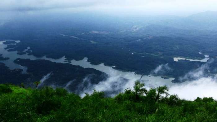 Eravikulam National Park in Munnar Kerala