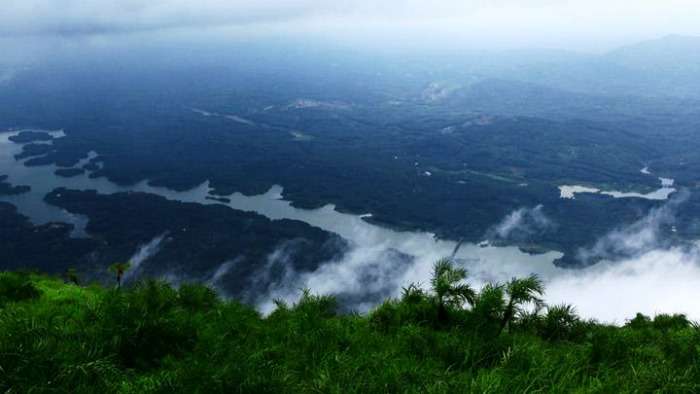 Eravikulam National Park in Munnar, Kerala