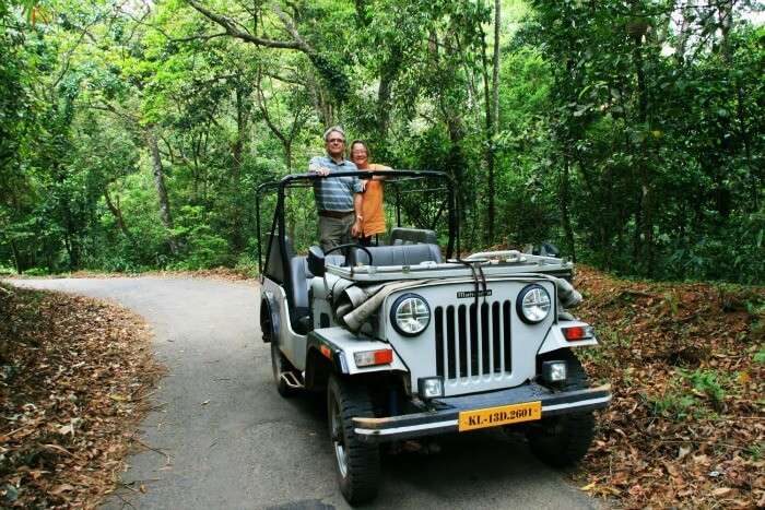 Jeep Safari for an ultimate wilderness retreat, Thekkady