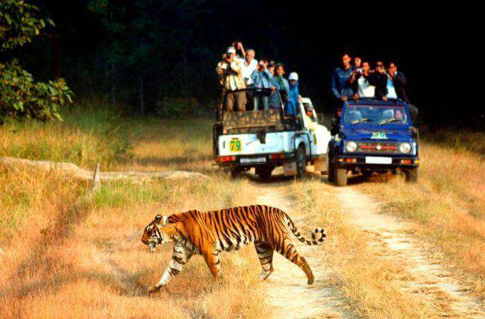 Jim-Corbett-National-Park_19th oct