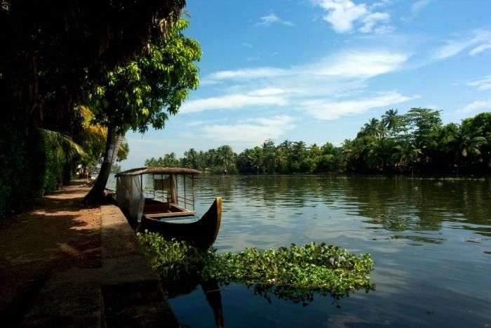 Enjoy the backwaters in Kumarakom, Kerala