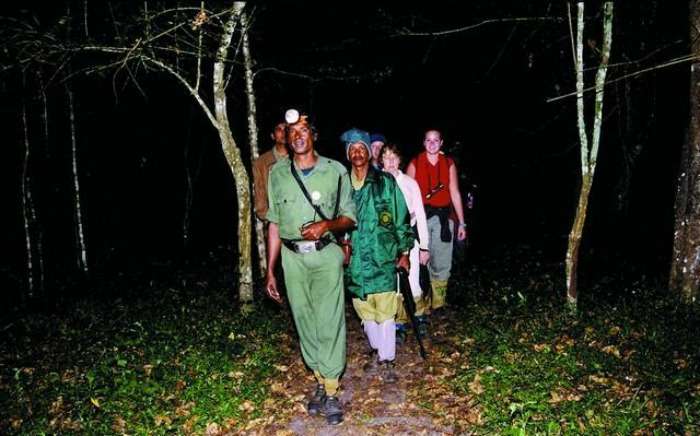 Night Patrolling in the Jungles of Kerala