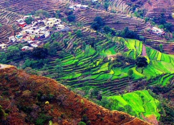 Lush green hills with pleasant weather and scenic views