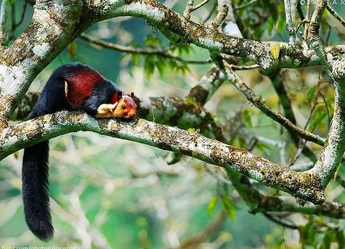 Periyar Tiger Reserve in Thekkady