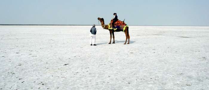 The Rann of Kutch - white barren land in Gujarat
