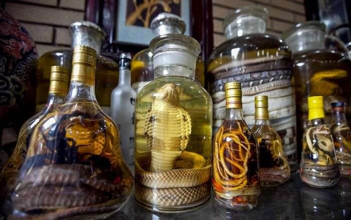 Snake Wine