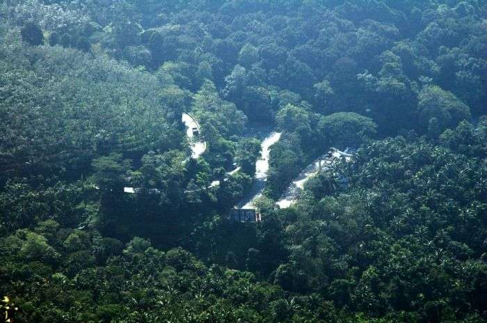 Wayanad Forests, a green paradise of kerala