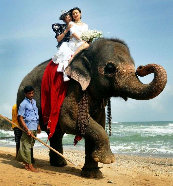 Sri Lanka - an ideal location for striking wedding celebrations