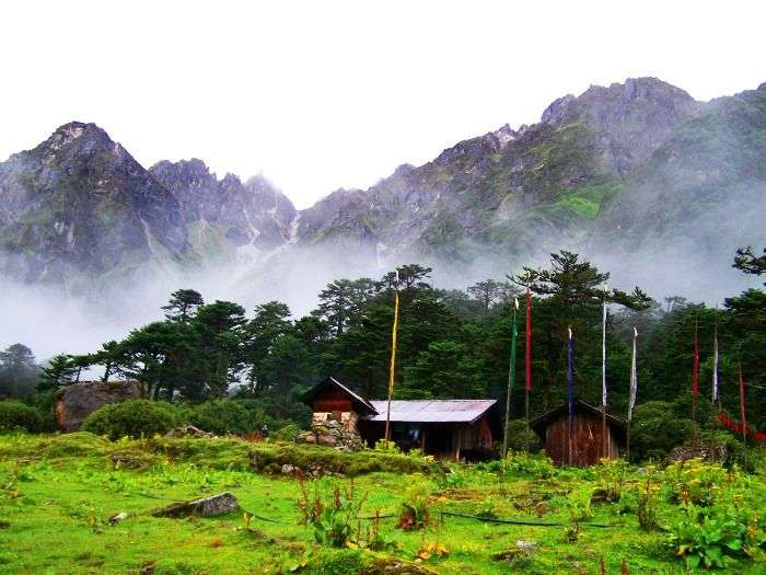 Yumthang Valley surrounded by alpine flowers and misty mountains, Sikkim