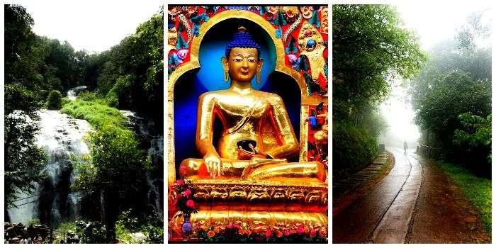 Experience the abbey waterfalls, monastery, wildlife sanctuaries in Coorg