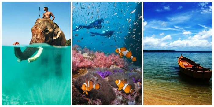 Enjoy scuba diving, white sandy beaches, elephant of Andaman and Nicobar