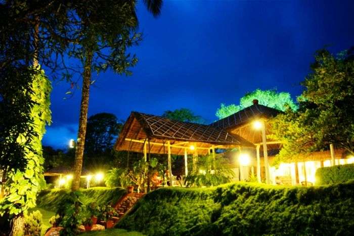 Carmelia Haven - feel closer to nature, Thekkady