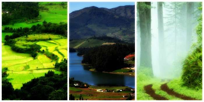 Coorg, Ooty, Kodaikanal for a serene scenic getaway in South India