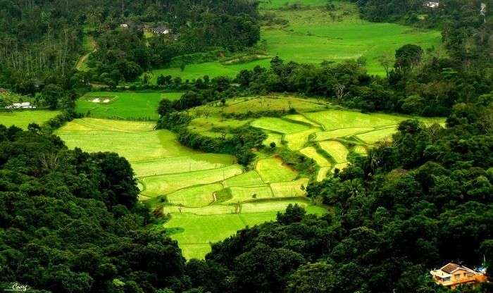 35 Places To Visit In Coorg In 2022 (with photos) - With 40+ Travel Stories
