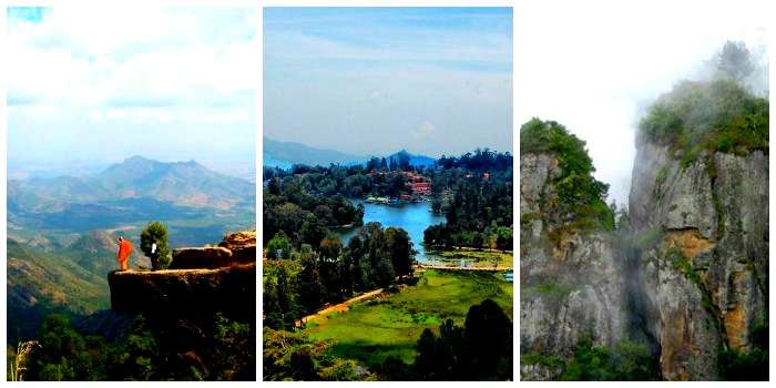 Visit Kodaikanal for pillar rocks, creeks, long stretches of forests