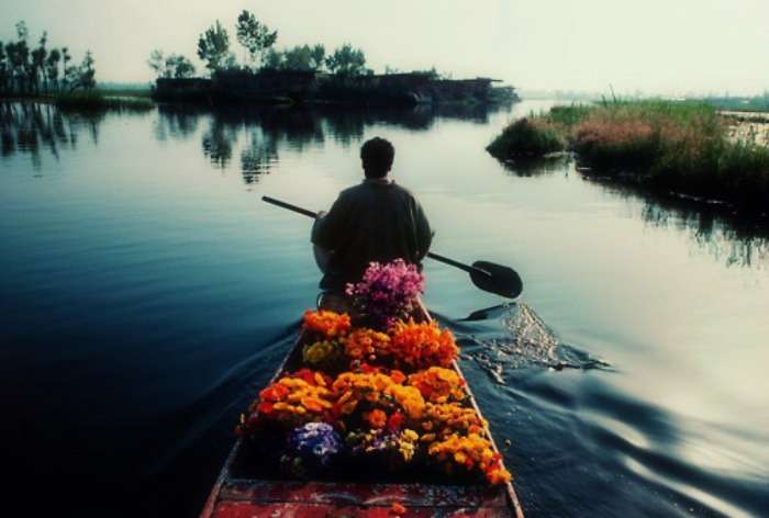 Flower packed shikaras at dul lake in beautiful Kashmir