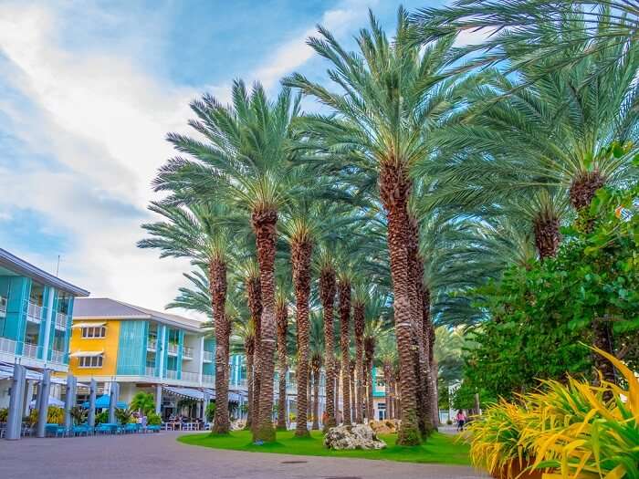 shutterstock-576334504-kw-030617-The Crescent in Camana Bay on Grand Cayman in the Caribbean Cayman Islands