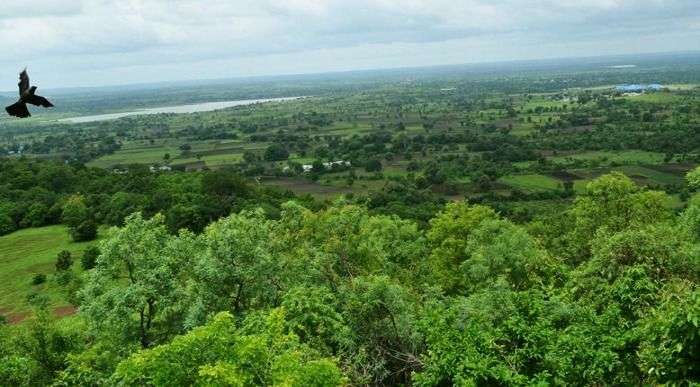Ananthagiri hill- stunning viewpoints which includes cofee plantaion, orange groves and waterfalls