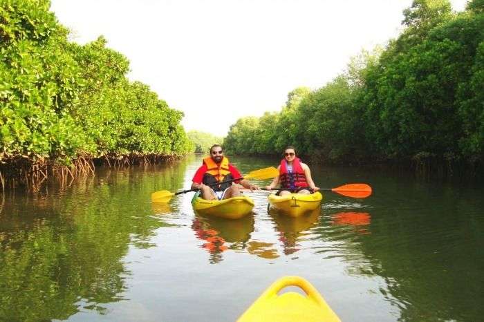 Canoeing and Kayaking on backwaters of Kerala