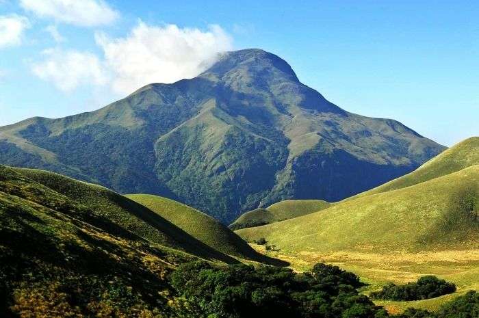 Eravikulam National Park