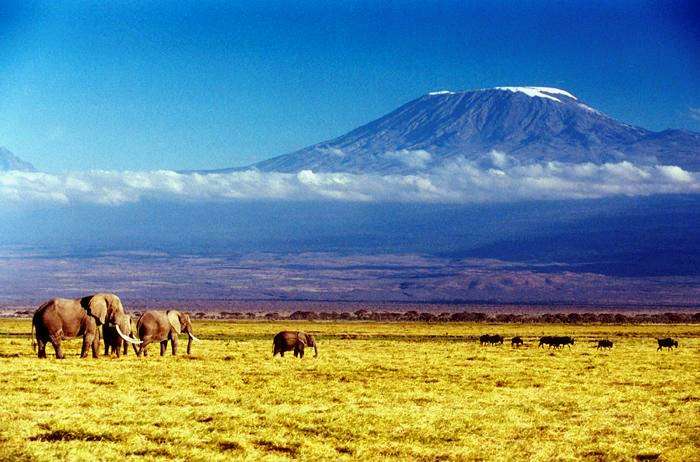 Enjoy holidaying and trekking at Mount Kilimanjaro