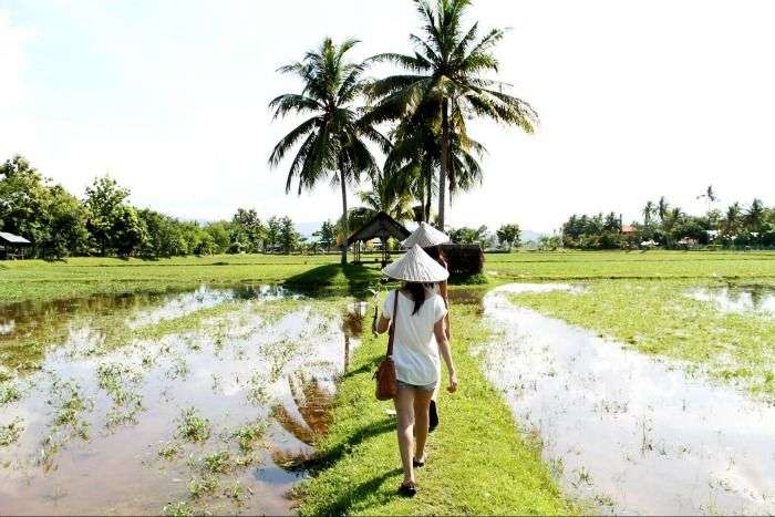 Laman Padi, An ecotourism complex for a closer look at rice paddies