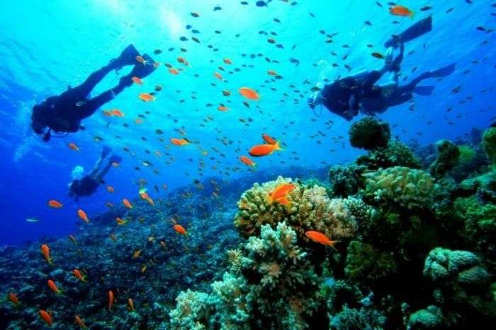 Scuba Diving and Snorkelling- popular things to do in Andaman