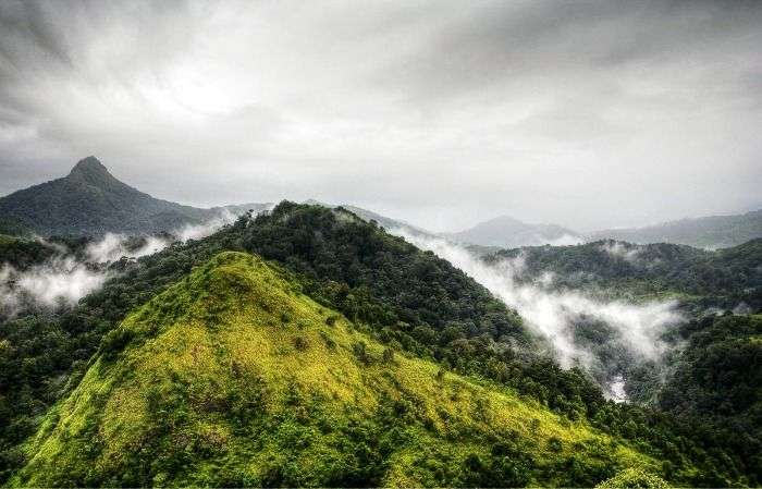 Natural charm at untamed silent valley, Kerala