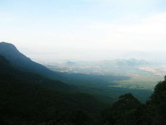 Yercaud lake forest known for cofee plantations and Orange Groves