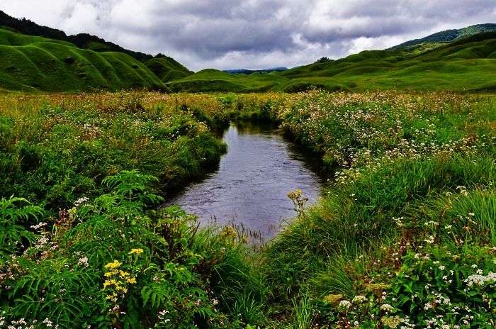 The enchanting Dzukou Valley in Nagaland, Northeast India