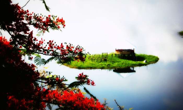 Floating islands in Loktak lake, Manipur