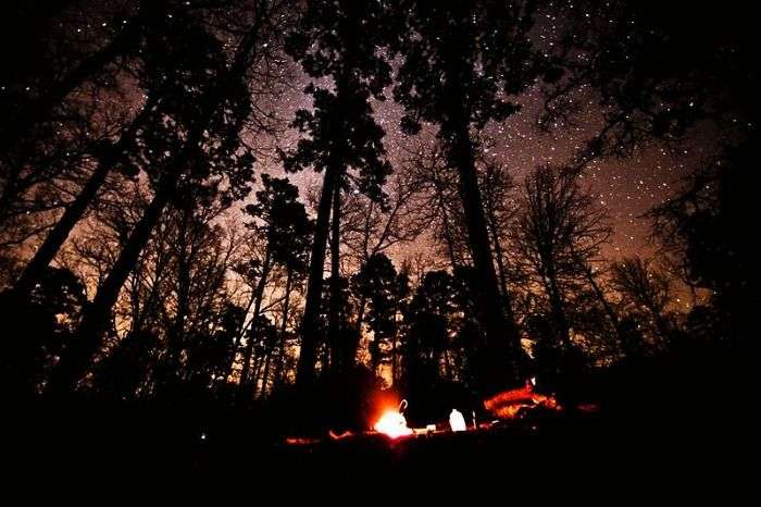 Stargazing, camping and bonfire in Kausani