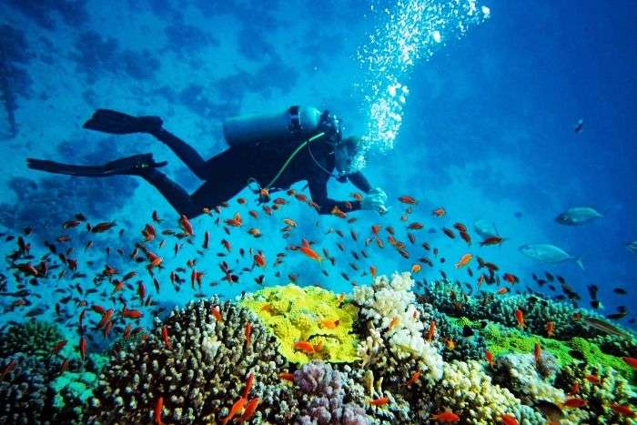 Scuba diving in Andaman and Nicobar Islands