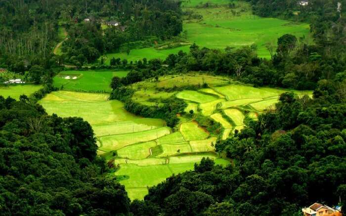 Lose yourself in the beauty of Coorg