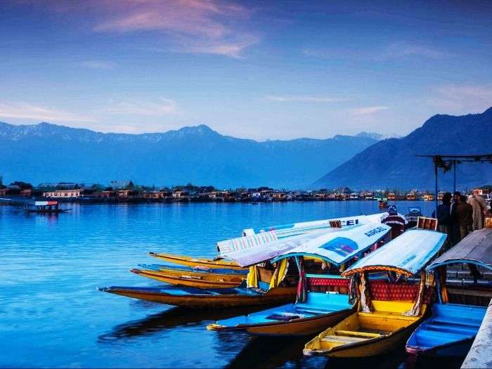 Shikaras in Dal Lake in Srinagar