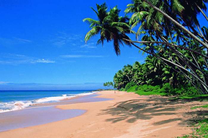 The surreal beach of Goa 
