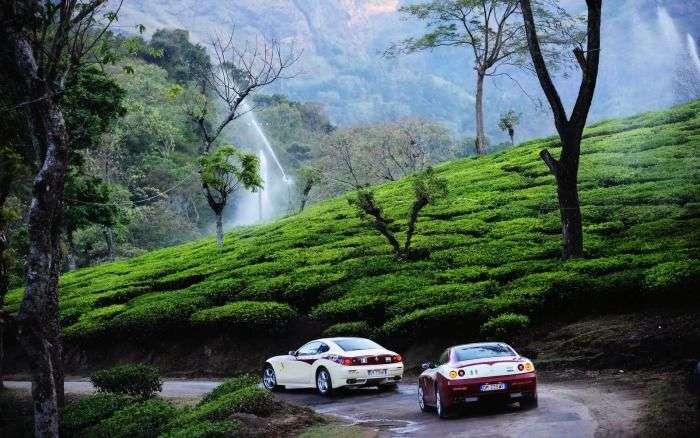 Hill stations of Ooty are famous holiday destination in India