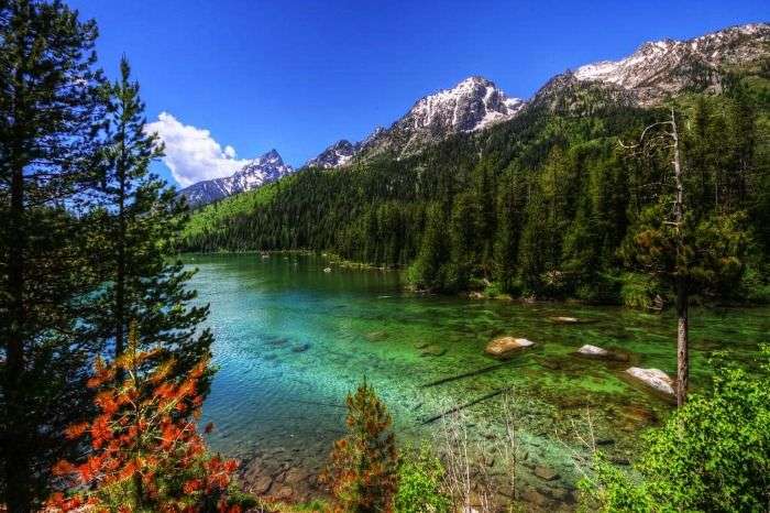 The scenic views of Jenny Lake