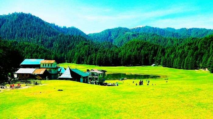 Magnificent Deodar forests in Khajjiar in Himachal Pradesh