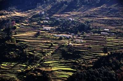 The verdant valley of Munsiyari adorned with terrace cultivation