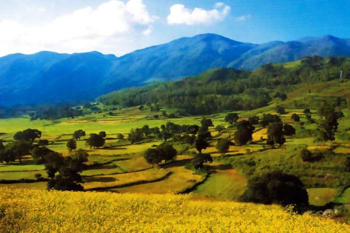 Araku Valley is covered with lots of greenery, exotic view of the hills, streams and rivulets
